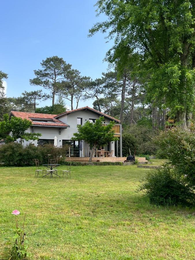 Laguillotte Bed & Breakfast Seignosse Dış mekan fotoğraf