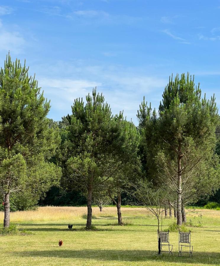 Laguillotte Bed & Breakfast Seignosse Dış mekan fotoğraf