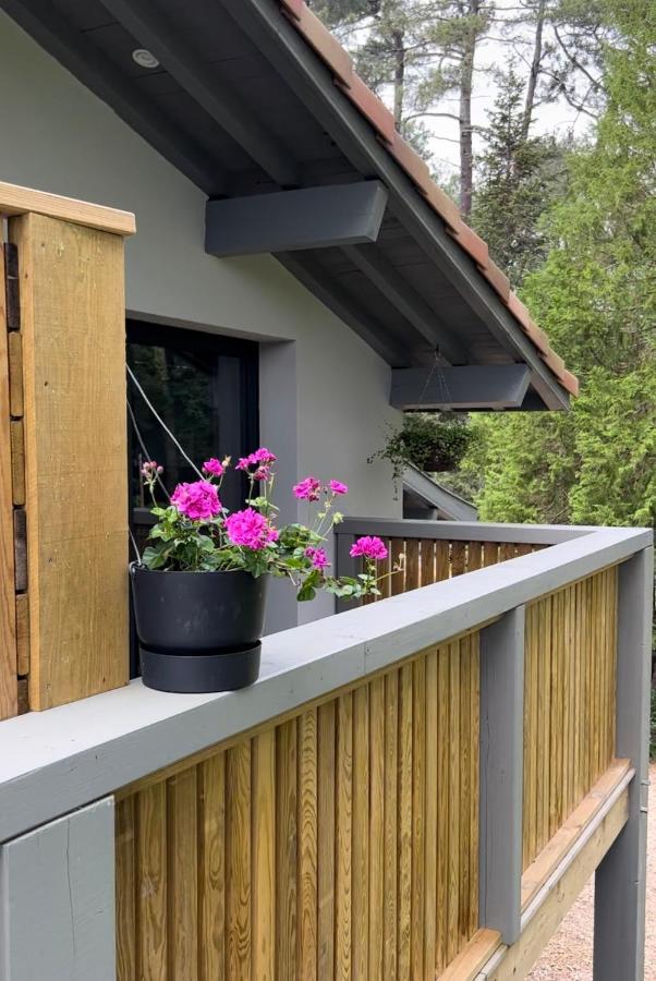 Laguillotte Bed & Breakfast Seignosse Dış mekan fotoğraf