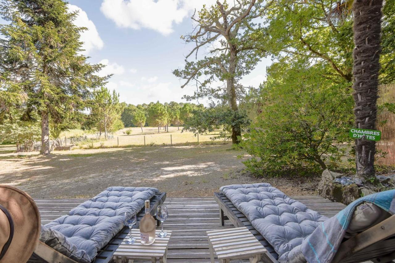 Laguillotte Bed & Breakfast Seignosse Dış mekan fotoğraf