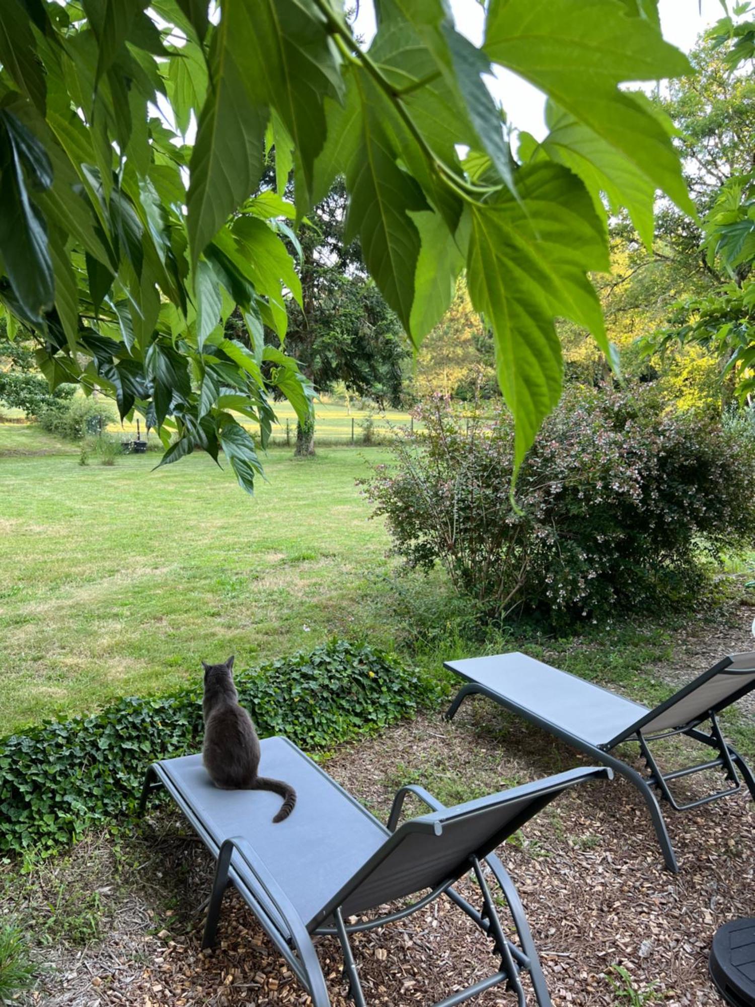 Laguillotte Bed & Breakfast Seignosse Dış mekan fotoğraf